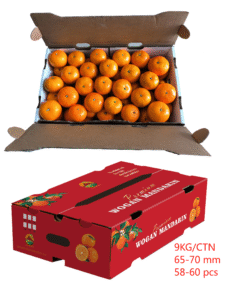 Wuming Orah Mandarin in Export-Grade Packaging - Suitable for Sea/Air Transport to EU & SEA