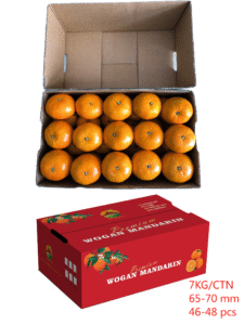 Wuming Orah Mandarin in Export-Grade Packaging